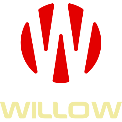 Willow Cricket 2